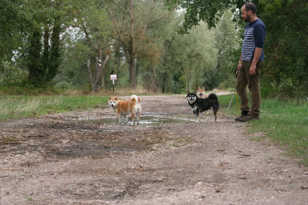 Leeloo la rousse et sa fille Jägy la noir