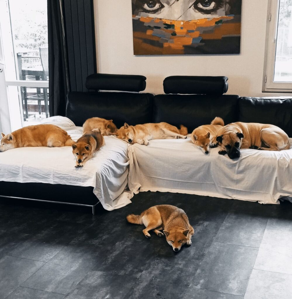 Family portrait en mode cocooning.