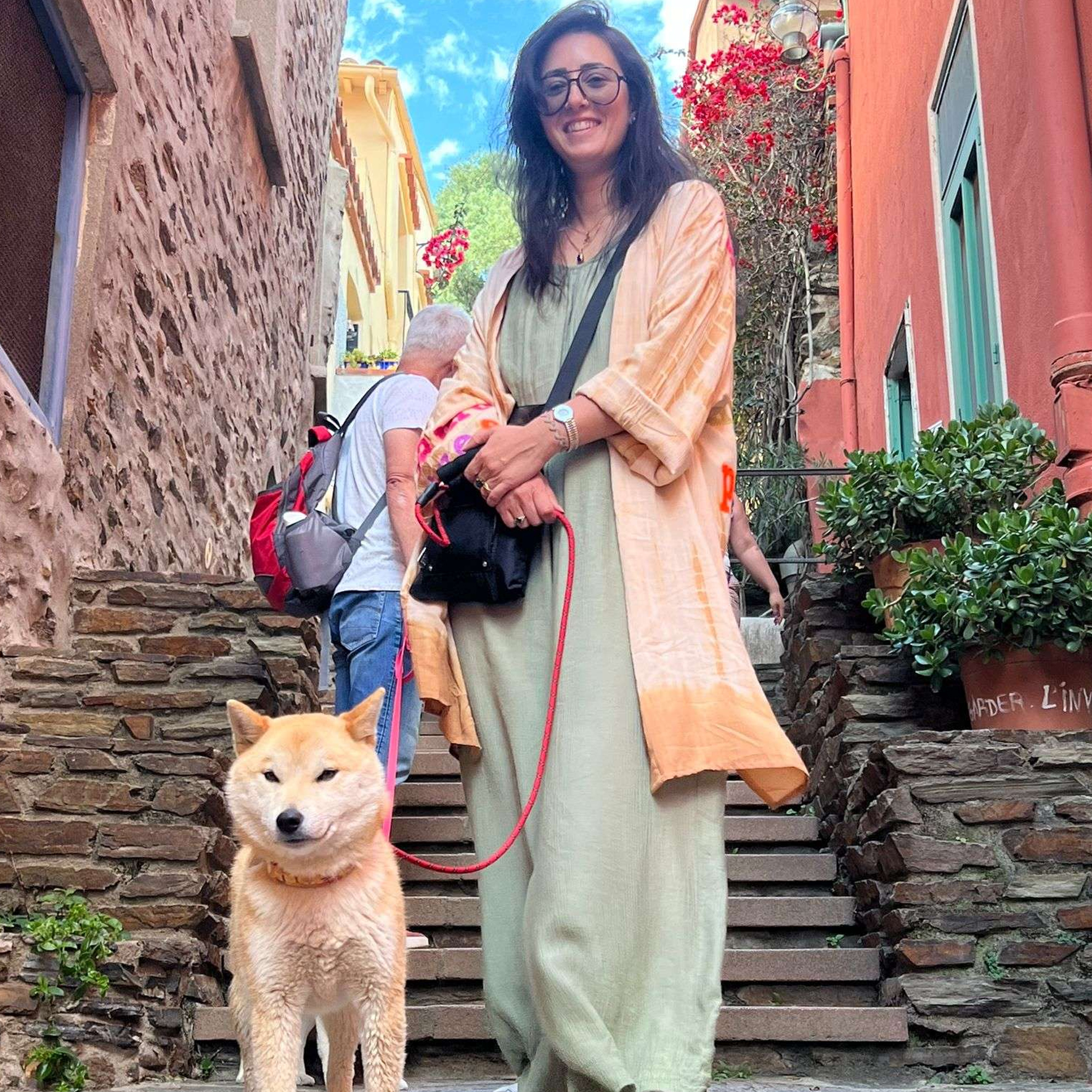 Promenade d'un Shiba Inu en laisse, éducation en méthode positive au Royaume d'Akuma