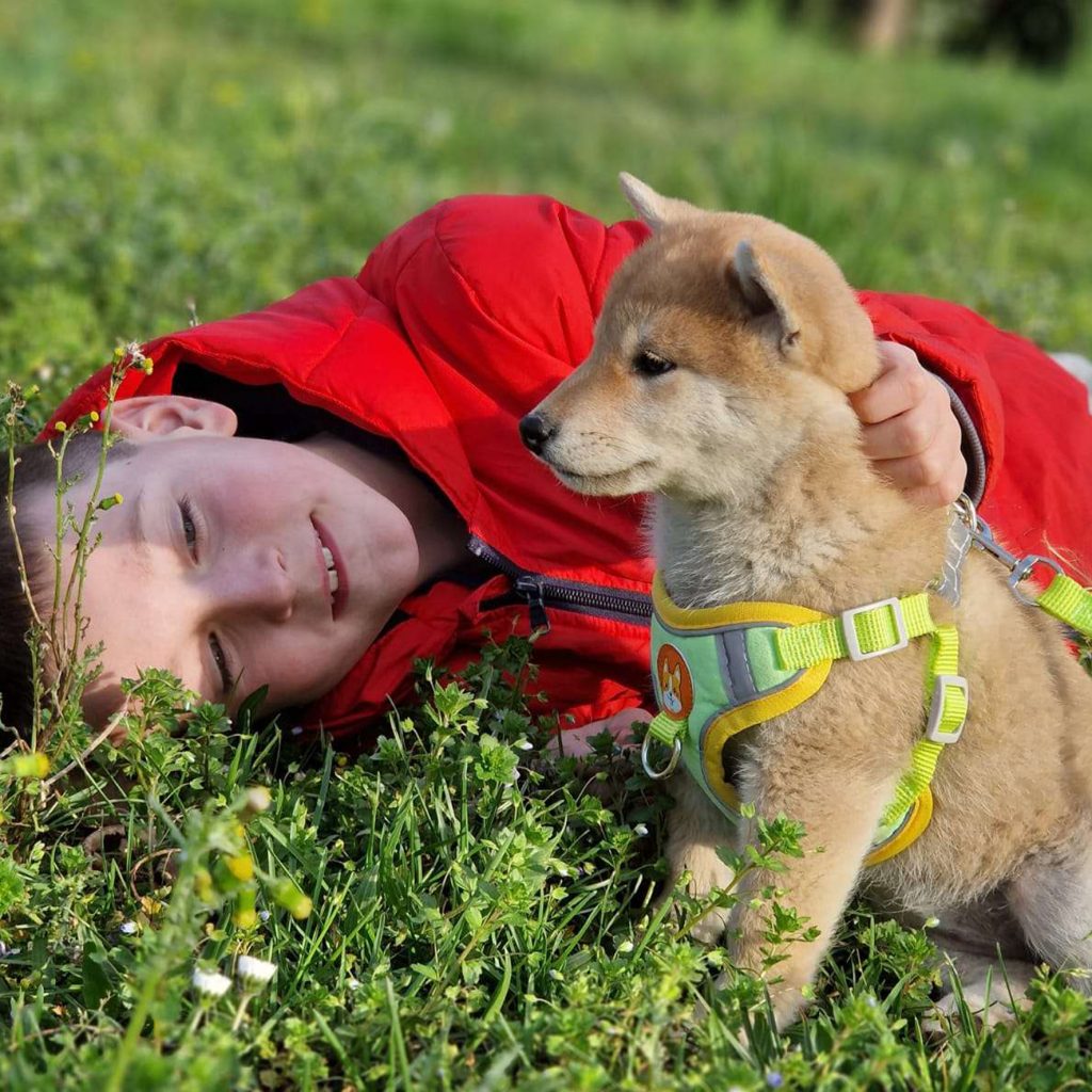 Enfant allongé dans l’herbe avec son jeune Shiba Inu