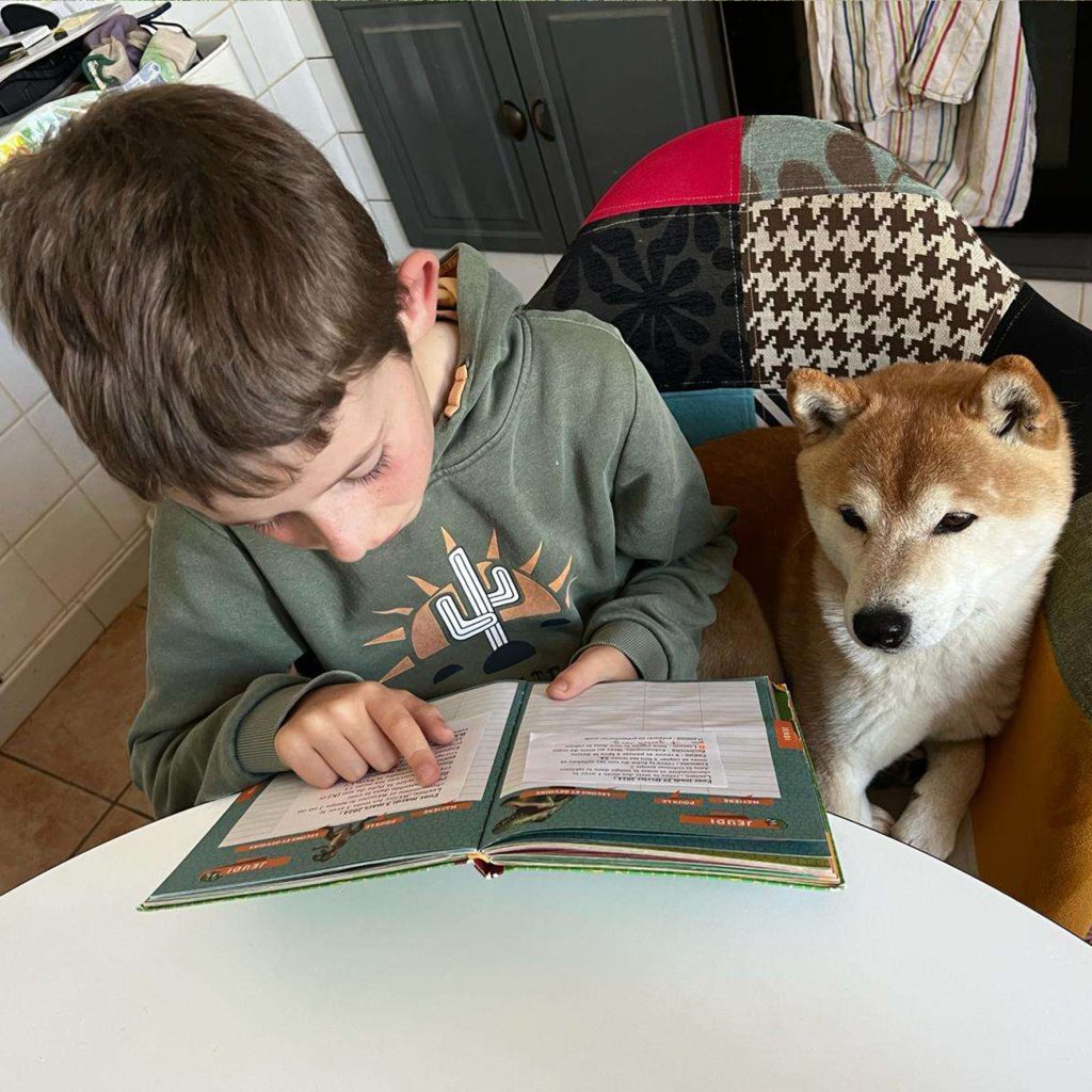 Esprit critique : Fin de vie : aimer son Shiba, est-ce aussi savoir le laisser partir ?