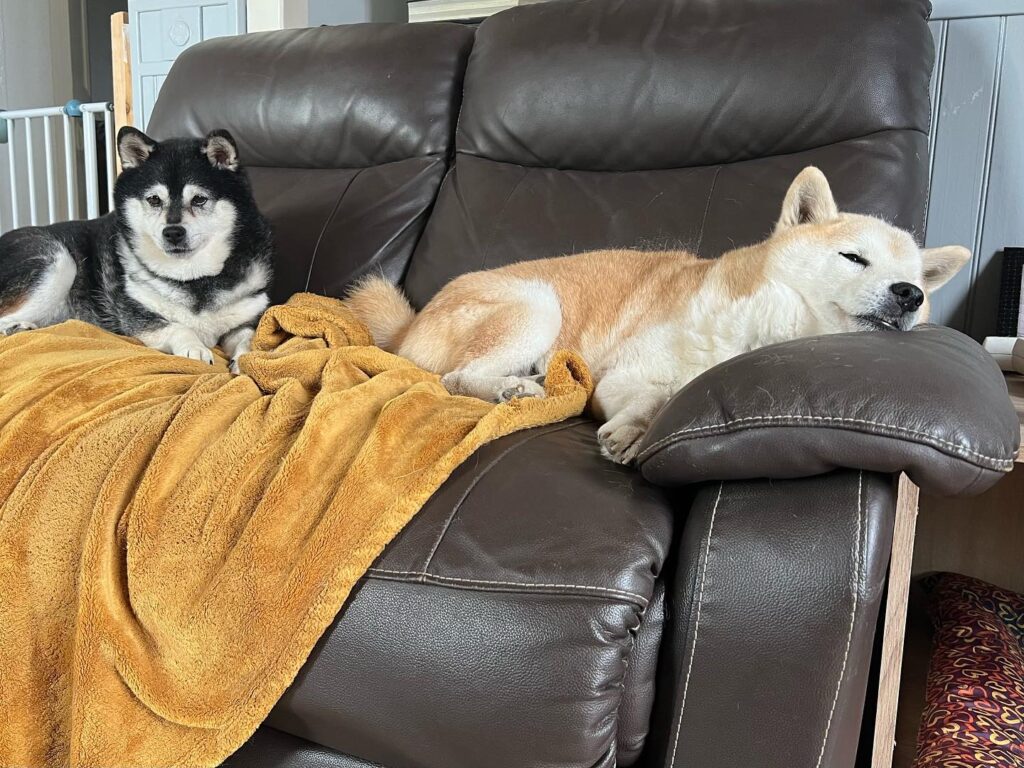 Papi Hyuka 13 ans et sa fille Jagy 11 ans vous souhaite un bon dimanche reposant ❤️
