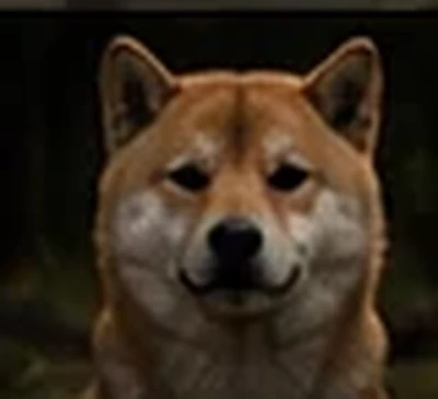 Hyuka, Shiba Inu roux, fondateur du Royaume d’Akuma