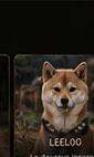 Leeloo, Shiba Inu retraitée du Royaume d’Akuma